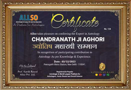Astrologer Image 2